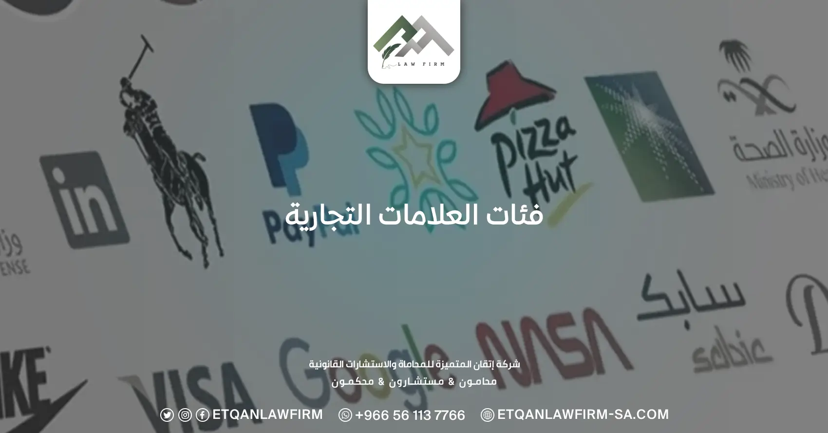فئات العلامات التجارية